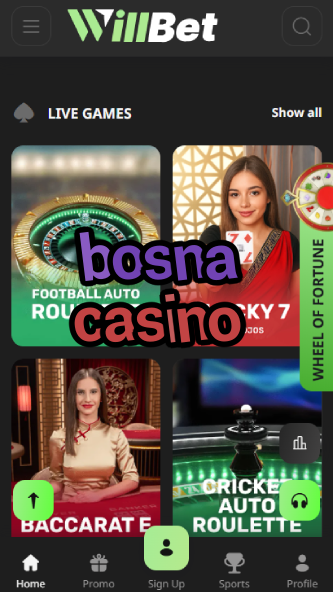 Bosna Casino - Top Bosnian Online Casino-www.bdqngd.com